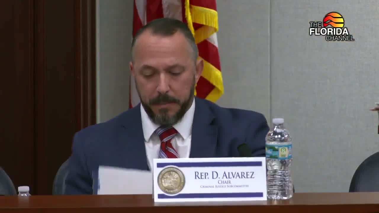 Florida committee advances bill to expand domestic-violence protections, including GPS monitoring and larger relocation grants