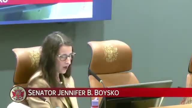 Va. Senate subcommittee reviews public-safety budget amendments covering corrections, victim services and local grants