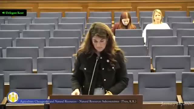 Subcommittee approves substitute easing co-holder requirements for accredited land trusts