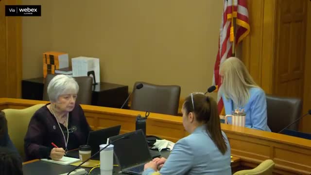 Senate panel reviews KSDE budget requests, reappropriations and E‑rate funding shortfall