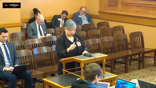 Panel considers bill barring state agencies from acting as receiver for TEFIs