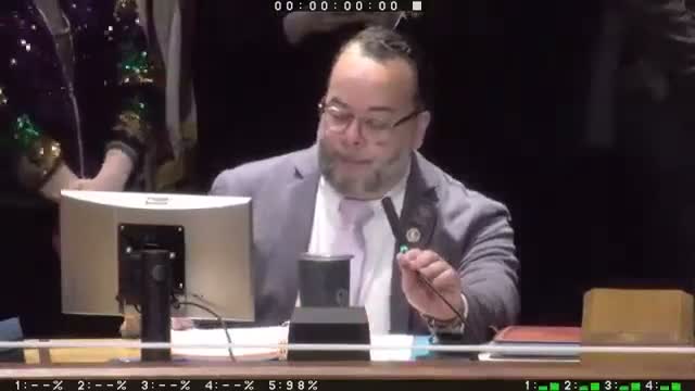 City Council honors Zulu and Femme Fatale, outlines parade safety reminders