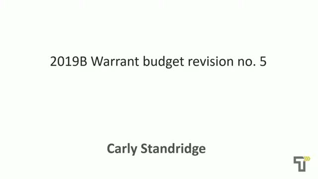 Council approves 2019B1 refunding budget revision to recognize proceeds and move funds to TPD vehicles