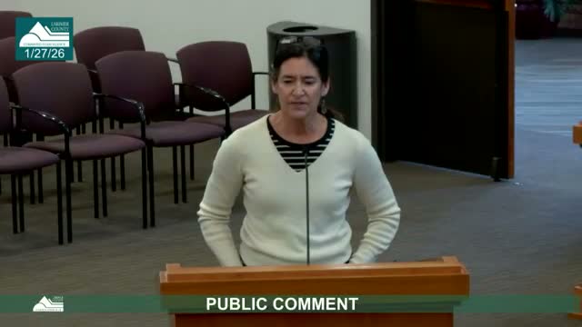 Neighbor alleges chemical exposure from Transpro trucks; commissioners refer complaint to code compliance and public health