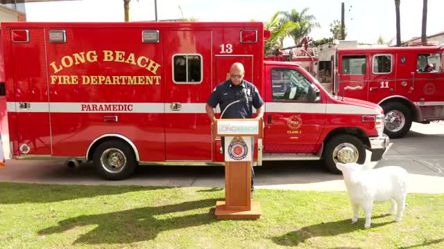 Long Beach restores Rescue 2, peak‑load Rescue 13 and Engine 11 paramedic unit to service