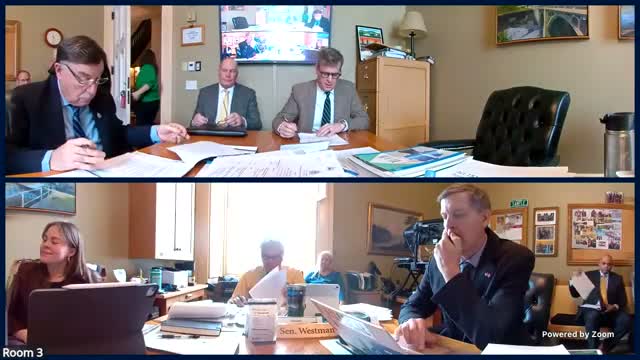 Senate Transportation Hears Testimony on DMV Bill Affecting Trailer Taxes and Plate Rules