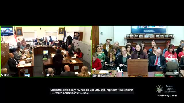 Maine hearing draws hundreds urging law to require judicial warrant for federal immigration enforcement at schools, hospitals and libraries