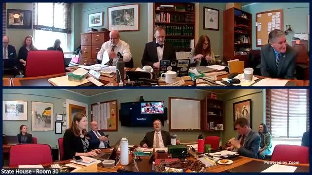 Committee reviews wide-ranging H.578 strike-all amendment on animal cruelty; debate centers on definitions, forfeiture mechanics and caregiver protections