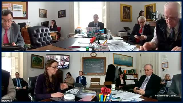 State librarian presents FY2027 library budget, flags federal grant uncertainty