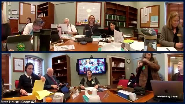 NAMI Vermont urges lawmakers to treat mental health as 'brain health,' launches youth advocacy cohort