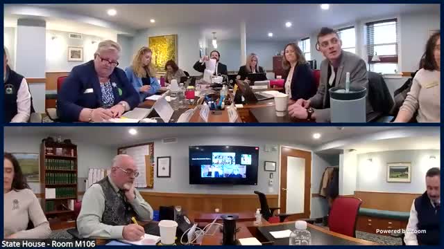 Glover town administrator tells House committee Shadow Lake Dam needs urgent state support after 2023–24 floods