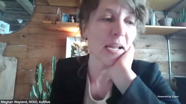 Northeast Kingdom organizers tell lawmakers mutual-aid groups saved hundreds of homes and ask for state investment