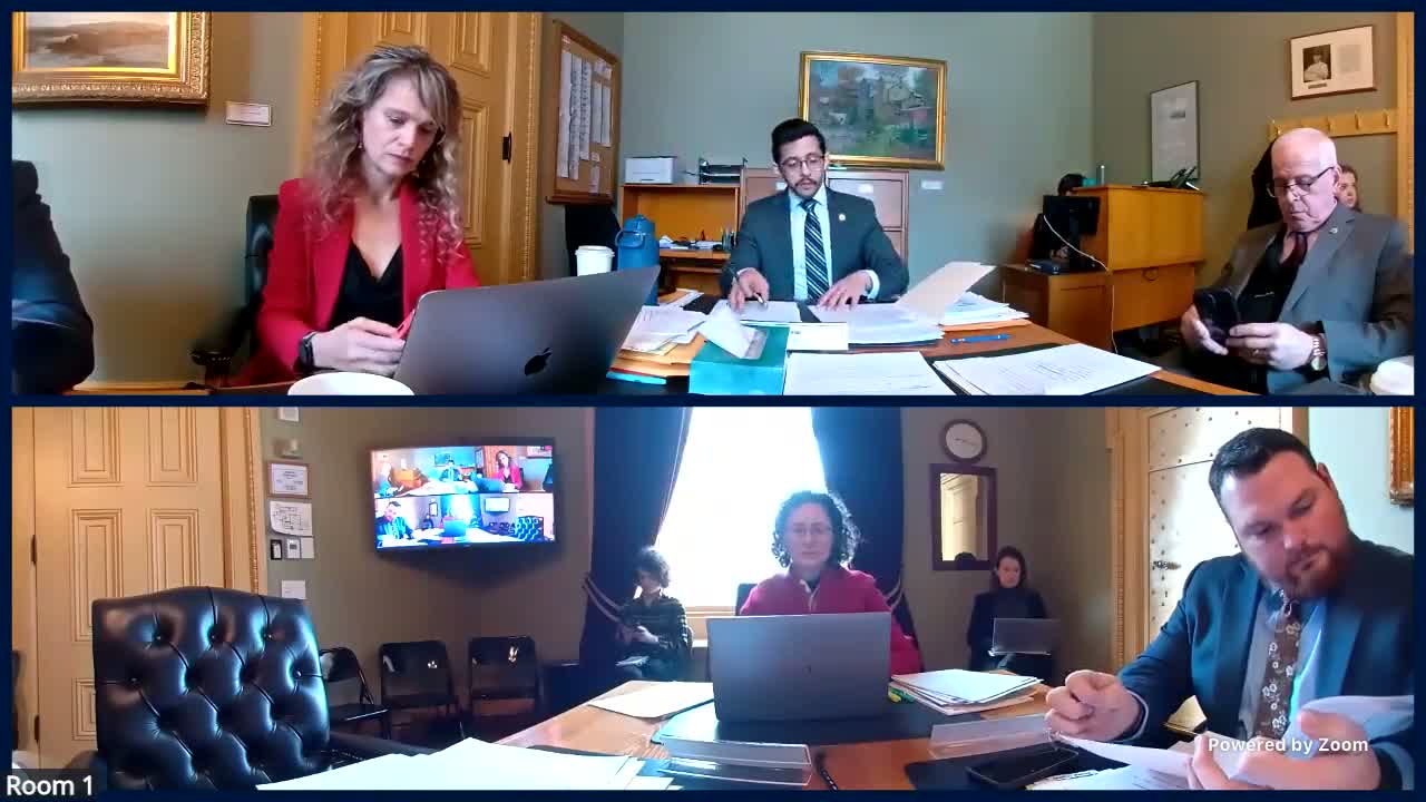 Senate Judiciary reviews amended S.208 on officer mask ban, exceptions and tiered penalties