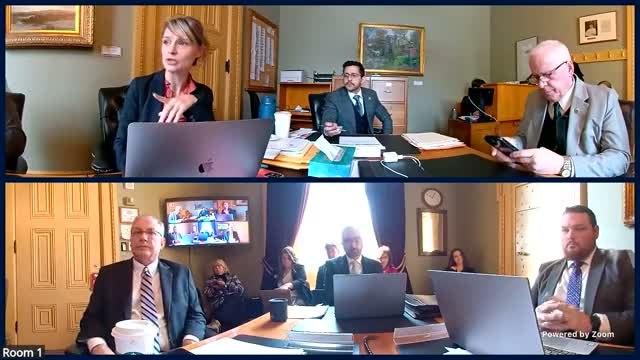 Senate Judiciary debates how narrowly to define sensitive locations in bill 209