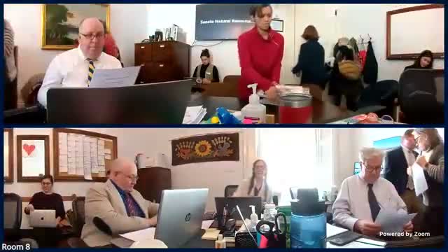 Committee introduces task force to study model municipal bylaws for housing; committee votes to advance draft request