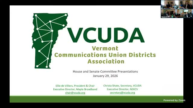 Municipal broadband leaders tell Senate Finance Vermont has built miles of fiber but affordability remains urgent