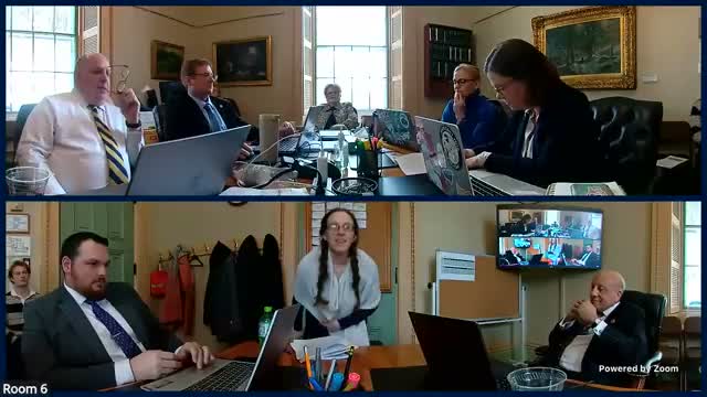 Senate Finance hears S.218 to reduce chloride pollution with voluntary certification and an affirmative defense