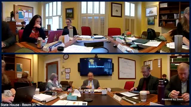 Sponsors pitch H.772 as compromise to curb evictions and fund rental‑arrears aid