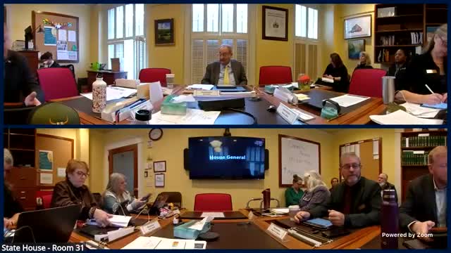 Witnesses tell General & Housing committee housing instability is driving Vermonters with disabilities into homelessness