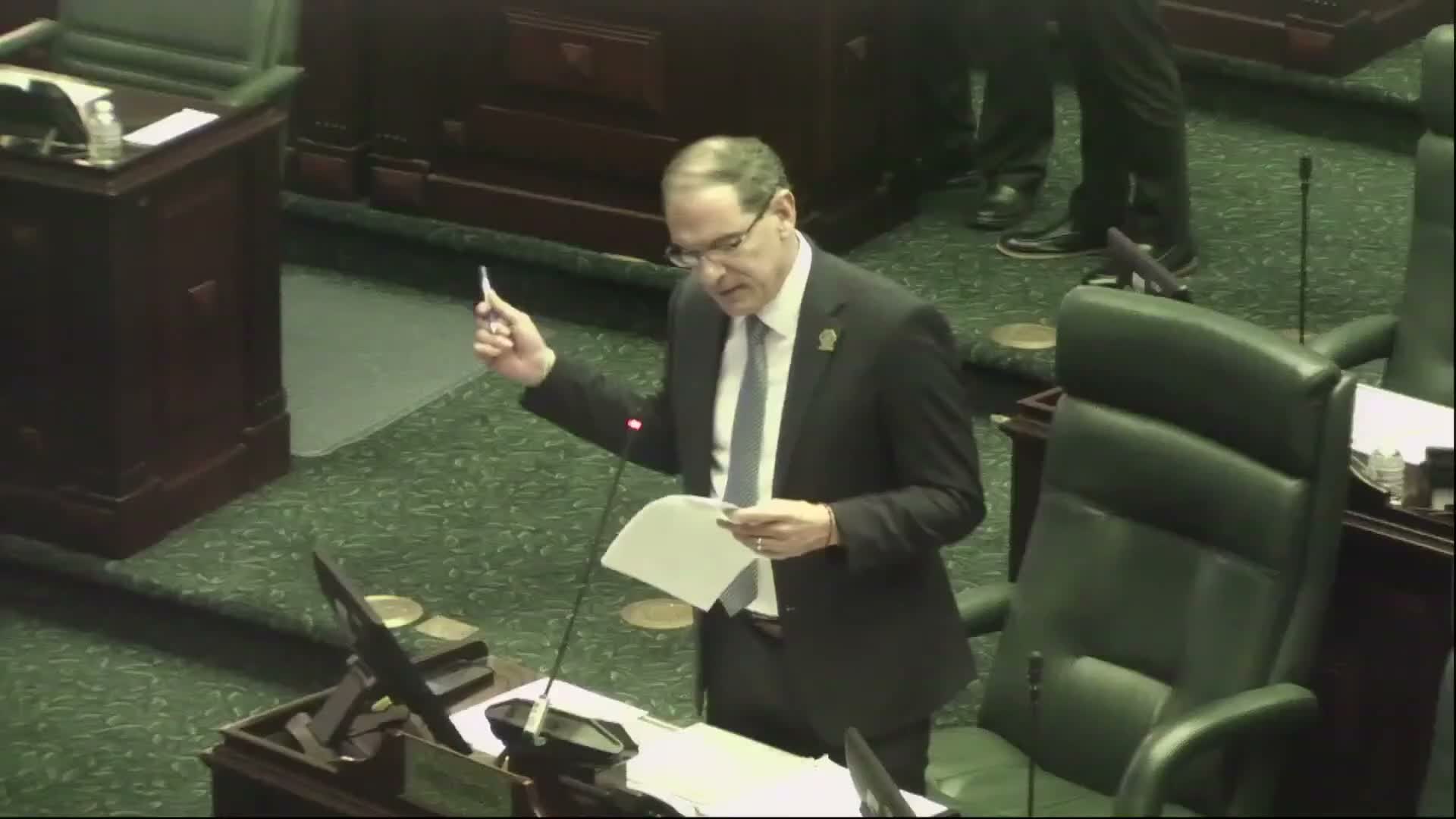 House approves five-year provisional firearms license for victims, 47–3