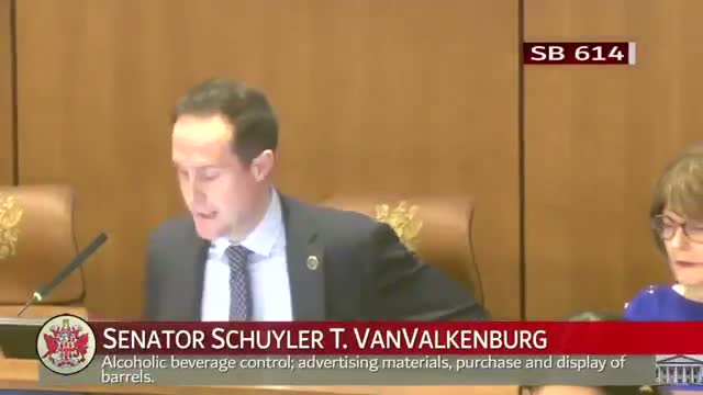 Senate panel backs substitute for SB 640 to centralize child-welfare intake, expand state corrective authority