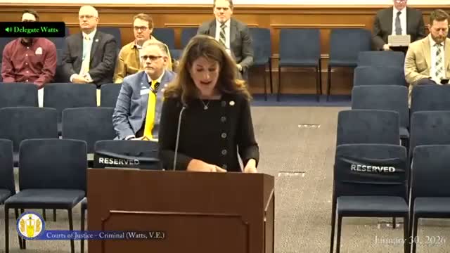 Va. subcommittee pauses consideration of broad ban on nitrous oxide sales after enforcement concerns