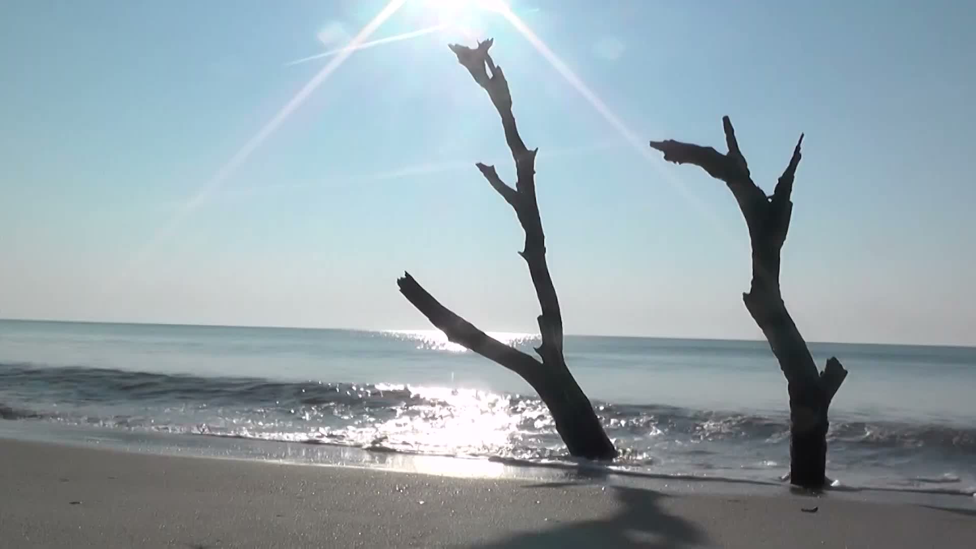 Georgetown County announcements: early voting, hazard‑mitigation hearing and library reopening