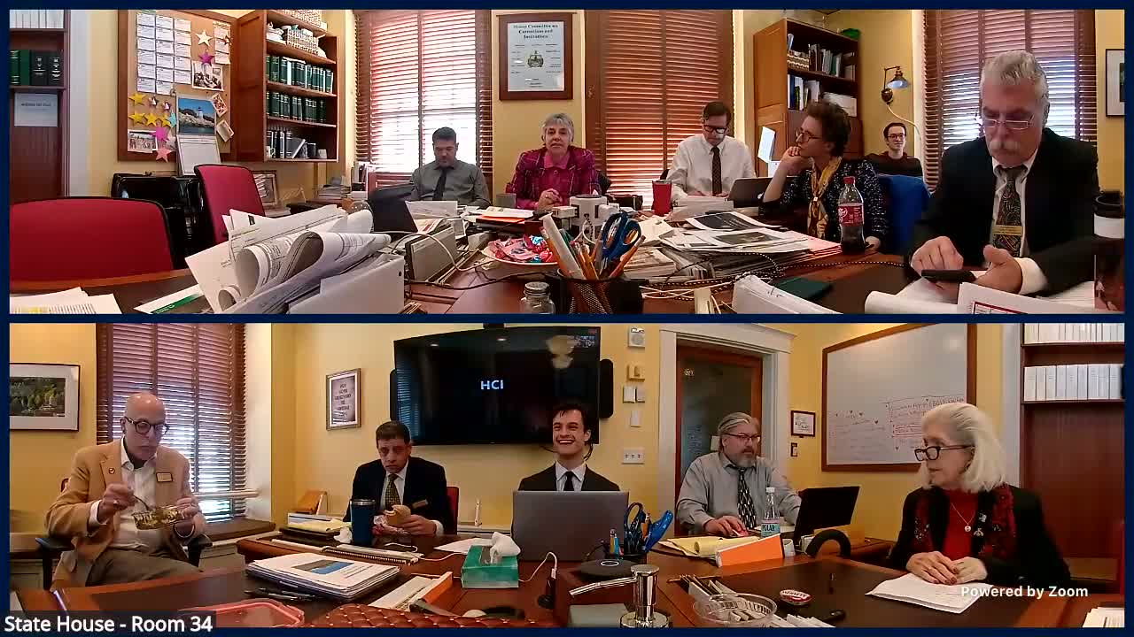 Joint Fiscal Office tells Corrections & Institutions committee how to frame general‑fund requests