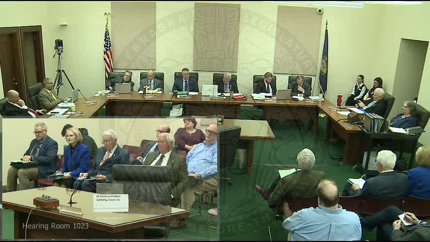 General Affairs Committee hears two gubernatorial nominees for Problem Gambling Commission