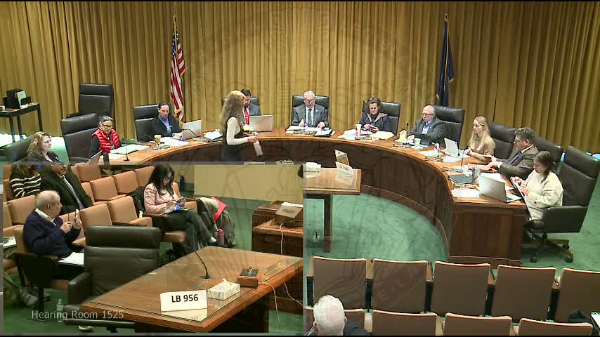 Heated hearing on bills to rescind in‑state tuition for students without lawful status draws long public record