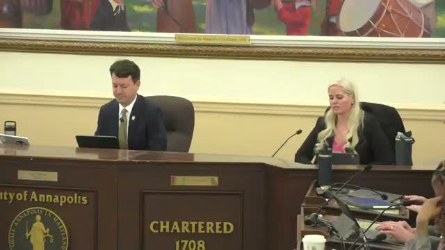 City Dock team outlines flood protections and a maritime welcome center; public raises concerns about scale and business impacts