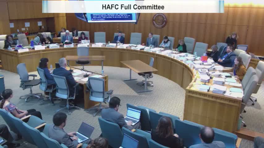 House Appropriations Committee advances budget substitute for HB2 and HB3 after debate over court and jobs funding