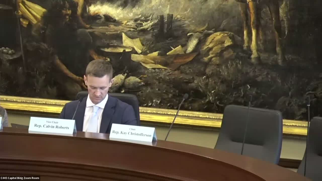 Committee approves HB 217 to bar local time limits on stolen-vehicle reports, sets a 78‑hour window with carve-outs