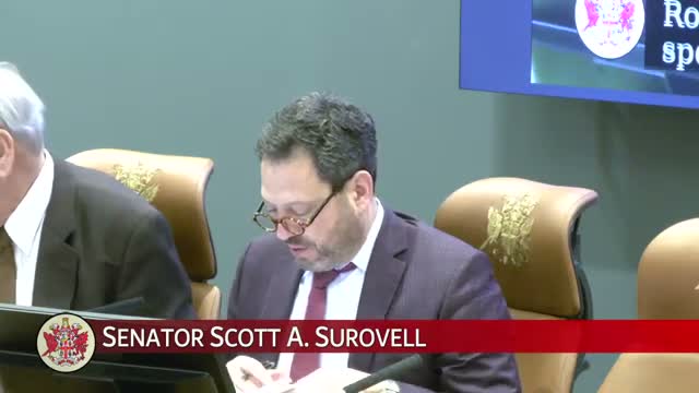 Senate general-government subcommittee recommends reporting multiple bills, delays decision on VDOT NEPA assignment