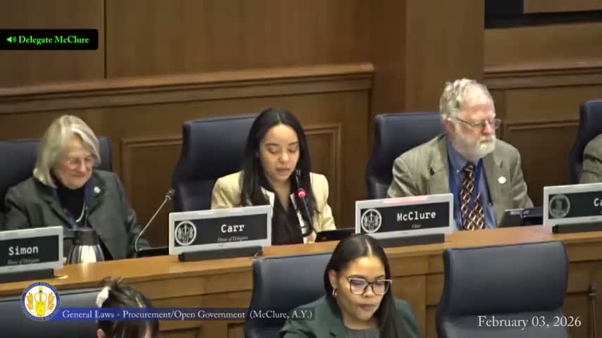 Subcommittee carries HB 869 to 2027 for procurement code review