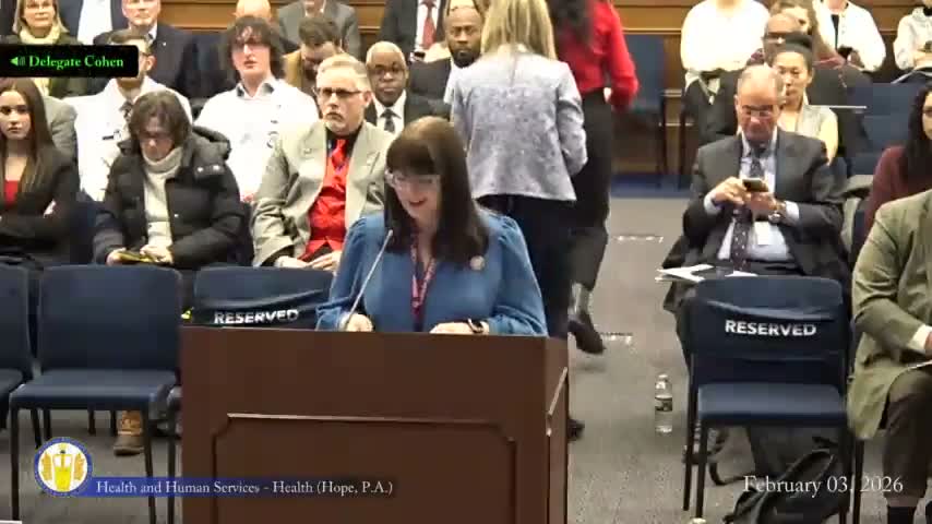 Subcommittee advances palliative care, maternal‑health, death‑record modernization and other bills; two controversial measures tabled