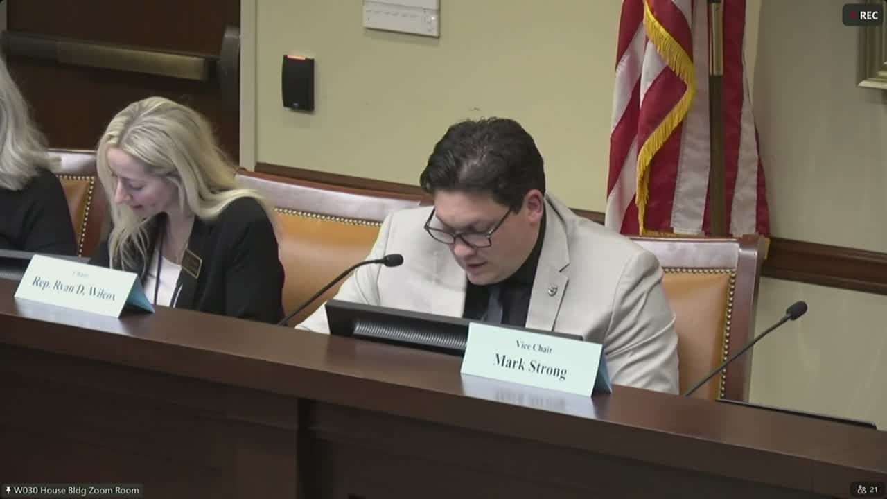 Committee advances bill expanding postpartum protections, requires reporting of pregnant inmates