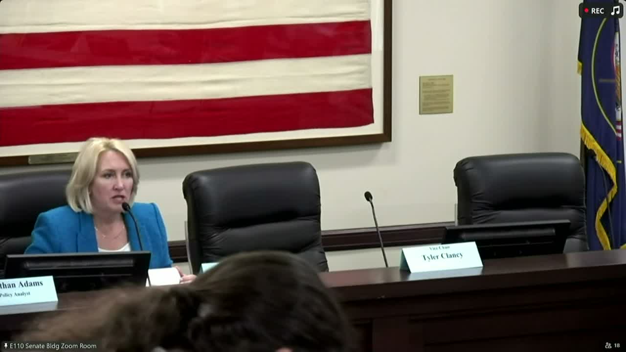 Committee moves substitute to allow parents to petition for custody time regardless of when permanent order was entered