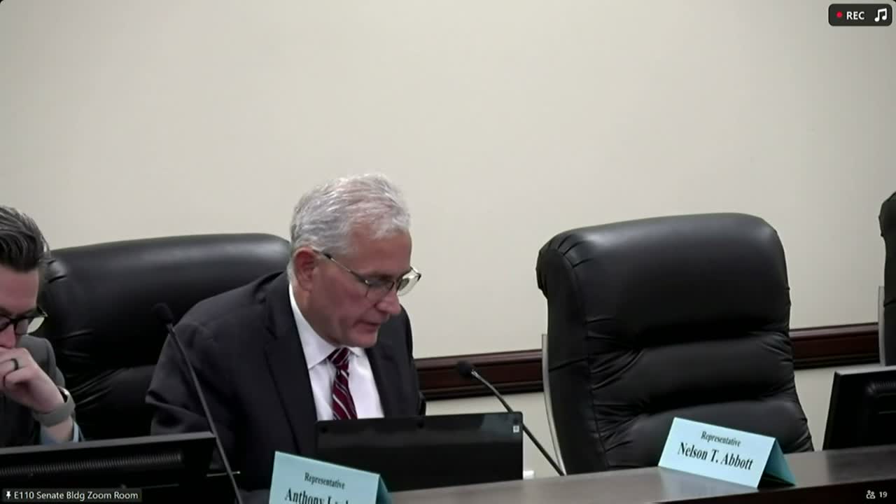 Committee holds speedy-trial measure after concerns about court resources and timelines