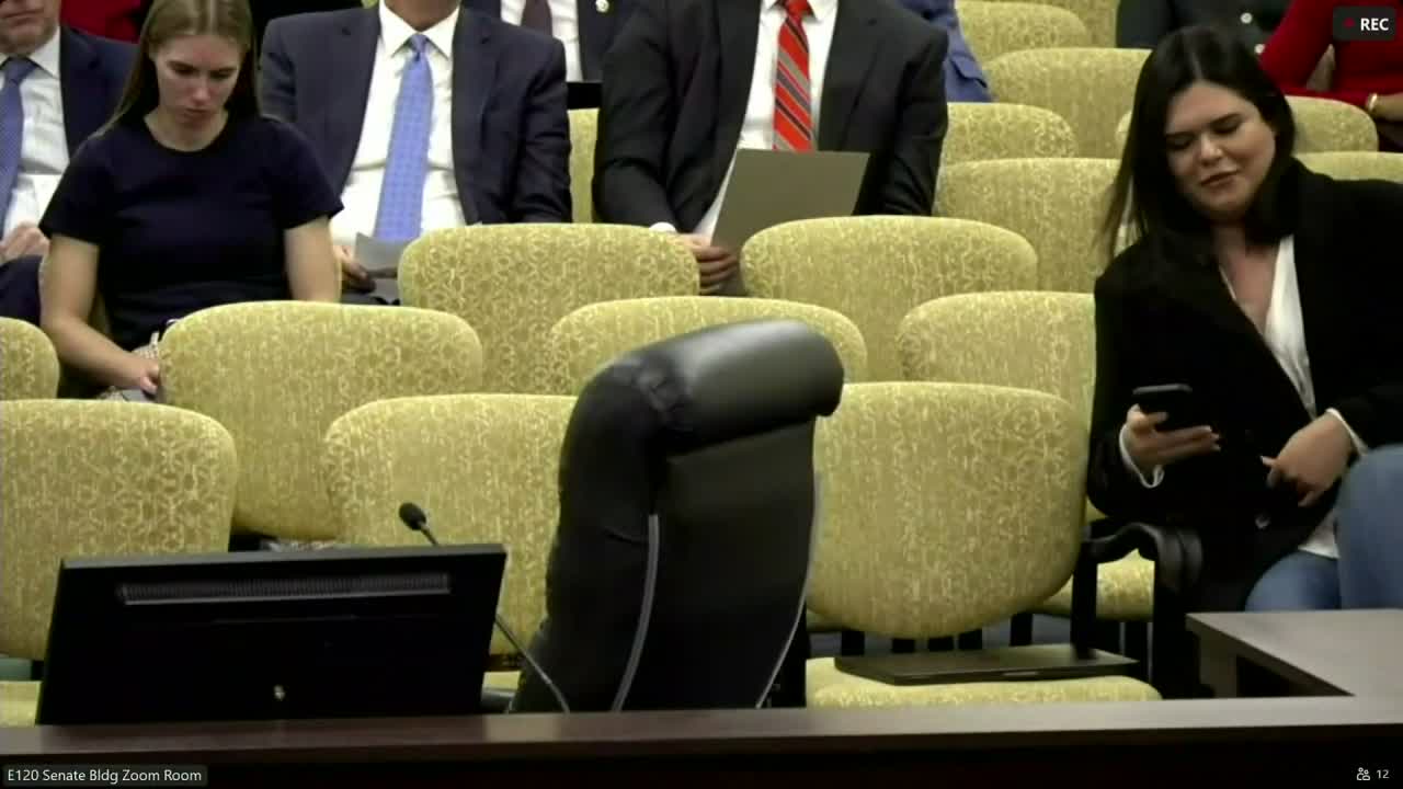 Subcommittee hears scores of one‑time cultural and rural economic requests including theatre, museum, science center and festivals