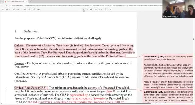 Needham committee clears key wording in draft tree-protection rules, keeps arborist requirement