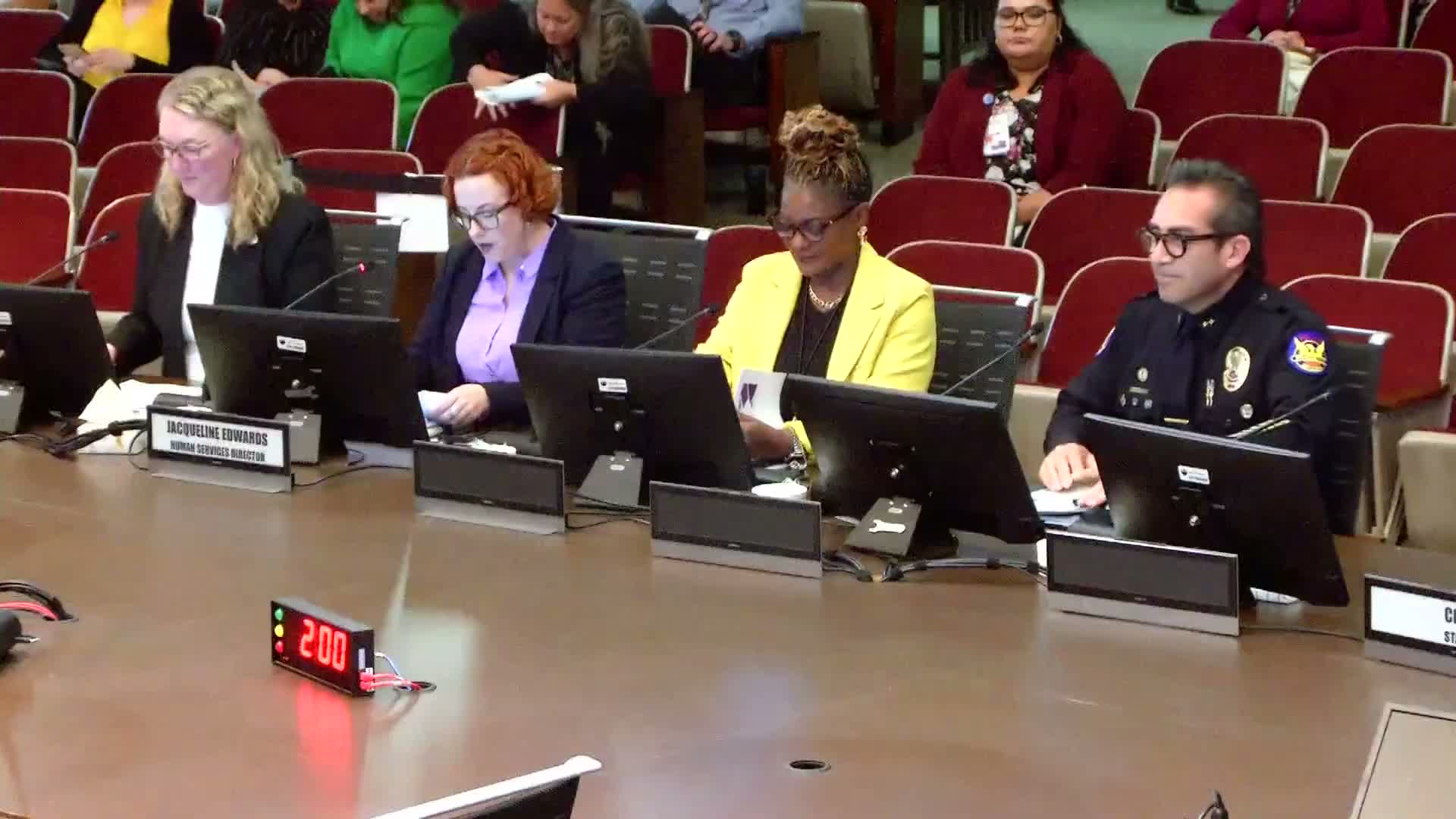 Phoenix DVFRT presents 2025 case review; recommends early‑intervention research, training and possible sentencing changes