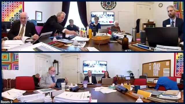 Criminal Justice Council asks Appropriations for language-access funds and curriculum completion money