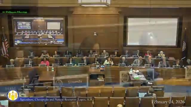 Va. committee reports HB 1013 after debate over terrapin protection, bycatch devices