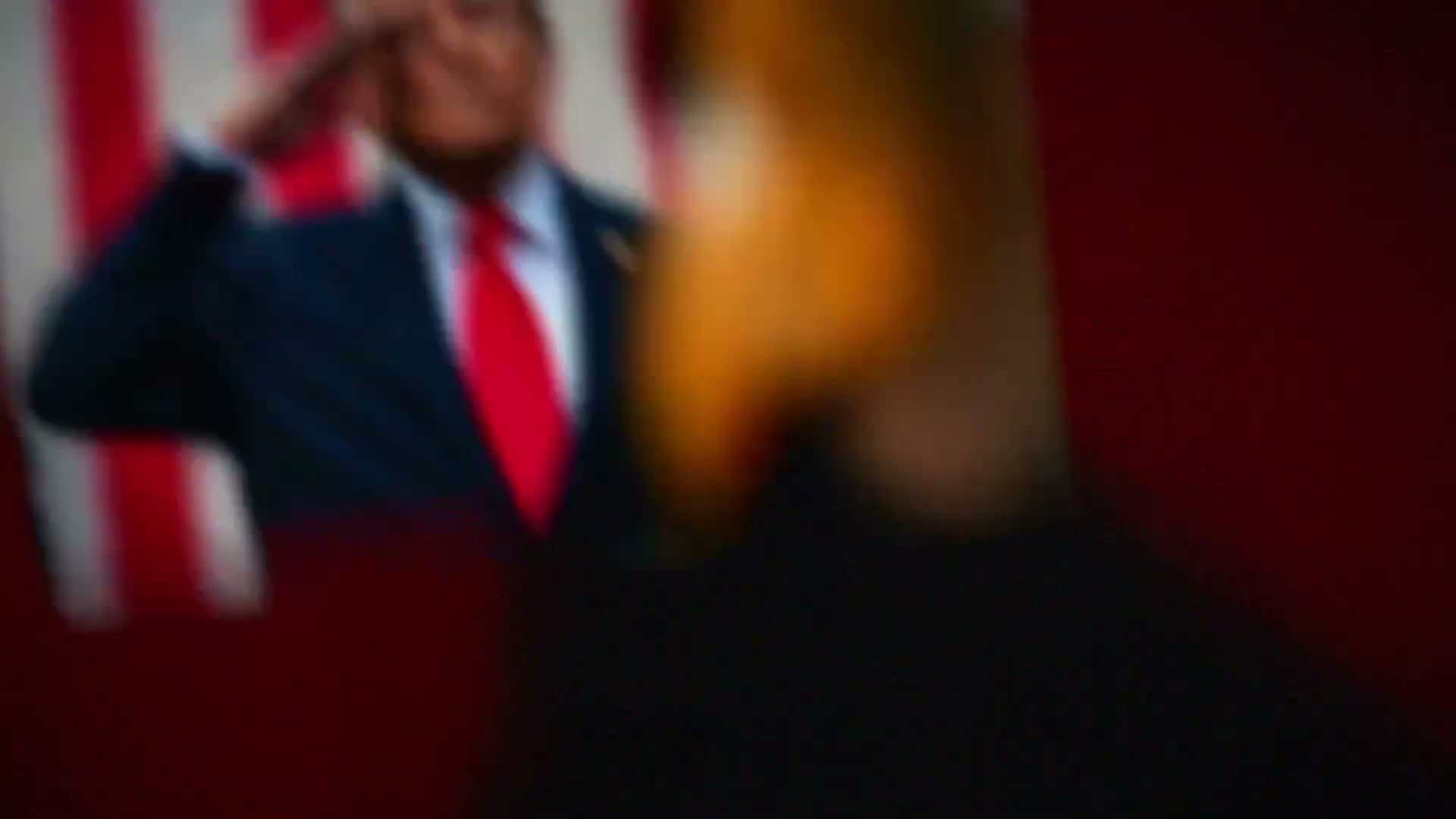 Unidentified Speaker Attributes Policy Promises to Donald Trump on Energy, Immigration and Drug Prices