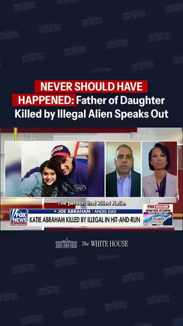 Unidentified commenter recounts fatal hit-and-run and criticizes Gov. J.B. Pritzker s immigration response