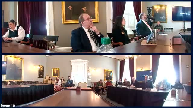 Privacy guardrails can help Vermont businesses, consultant tells committee