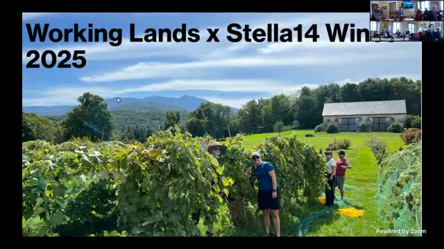 Jeffersonville winery says $50,000 Working Lands grant enabled trellising and production gains