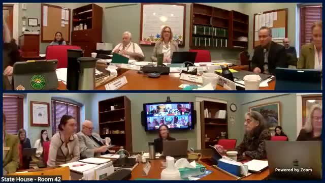 Committee reviews redraft of H.583 that would bar private‑equity and REIT ownership of certain health facilities