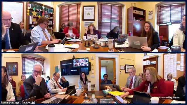 Committee presses DCF on missing child‑welfare IT system after $30 million estimate cited